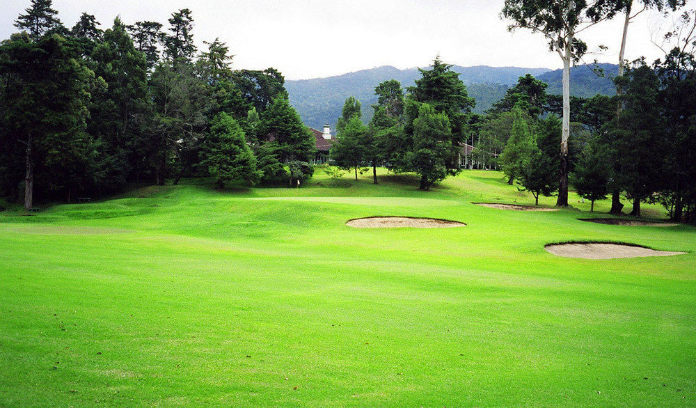 Royal Cocoon - Nuwara Eliya Hotel Kültér fotó